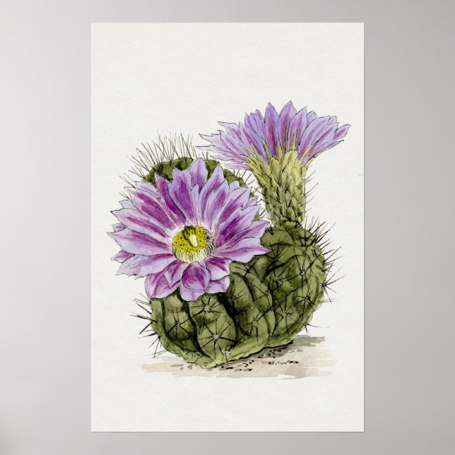 Lila Flower Cactus Sketch Art Poster (Framsidan)
