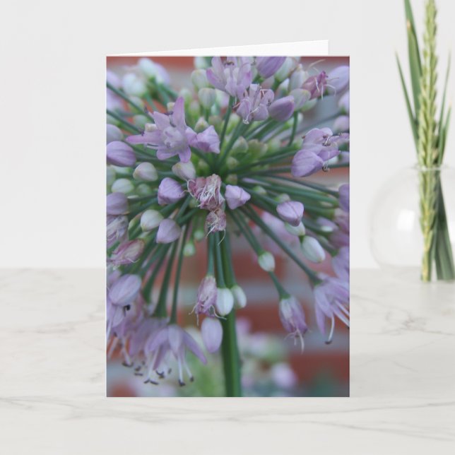 Lila Flower Kort (Framsida)