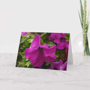 Lila Flower Kort