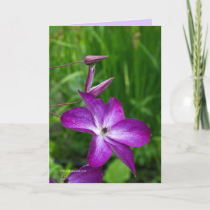 Lila Flower Kort