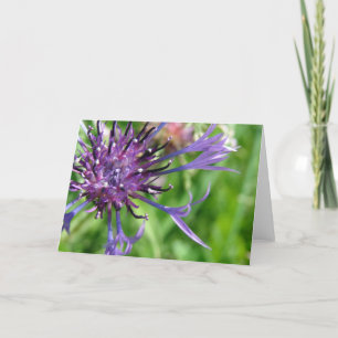 Lila Flower Kort
