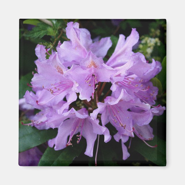 Lila Flower Magnet (Framsidan)