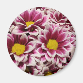 Lila Flower Magnet
