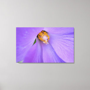 Lila Flower Makro Close Up Photogratography Wall A Canvastryck
