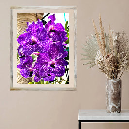 Lila Flower Måne Orchid Tropical Plant Poster