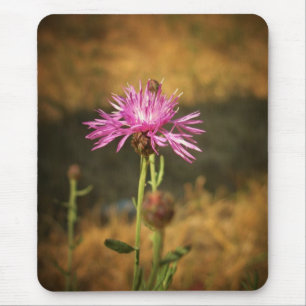 Lila Flower Musmatta