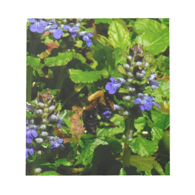 Lila Flower och Humla Anteckningsblock (Framsida)