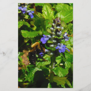 Lila Flower och Humla Brevpapper
