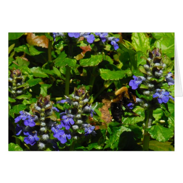 Lila Flower och Humla Hälsningskort (Framsidan Horizontal)