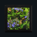 Lila Flower och Humla Smyckeskrin<br><div class="desc">Lila Bee Balm Flower Blommar and gult and black Humla Photo by Sandy Closs taget vid Sjö Arrowhad lila,  ’bi balm’,  blommor,  blommor,  blommigt,  vår,  körsbär,  trädgård,  bröllop,  bröllop, , .</div>