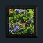 Lila Flower och Humla Smyckeskrin<br><div class="desc">Lila Bee Balm Flower Blommar and gult and black Humla Photo by Sandy Closs taget vid Sjö Arrowhad lila,  ’bi balm’,  blommor,  blommor,  blommigt,  vår,  körsbär,  trädgård,  bröllop,  bröllop, , .</div>