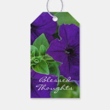 Lila Flower Photo Bible Verse Blated Thoughts