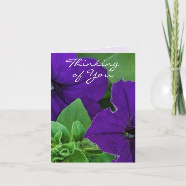 Lila Flower Photo Bible Verse Thinking of You Kort (Framsida)