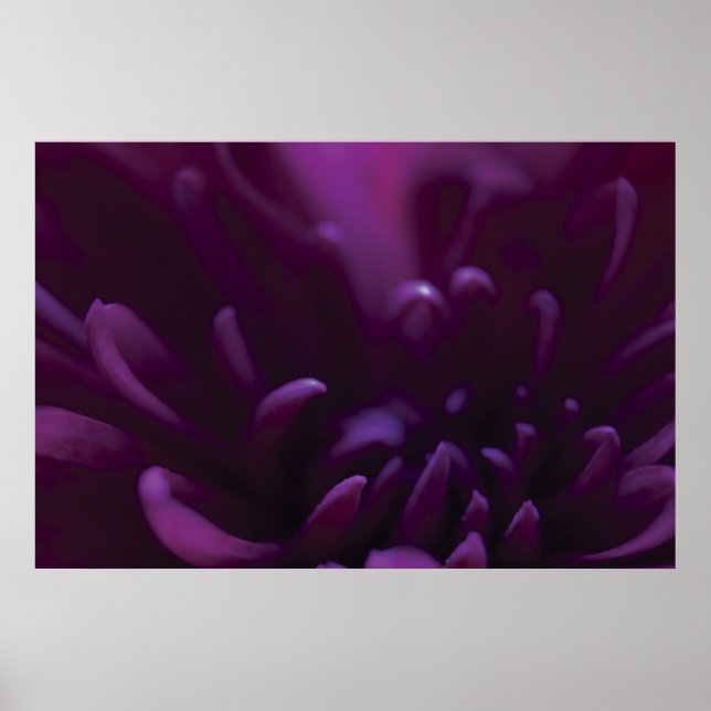 Lila Flower Photograph Poster (Framsidan)