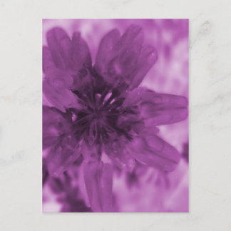 Lila Flower Vykort