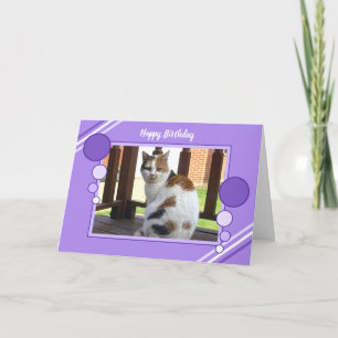 Lila för lilor för foto för Calicokattsitta Kort