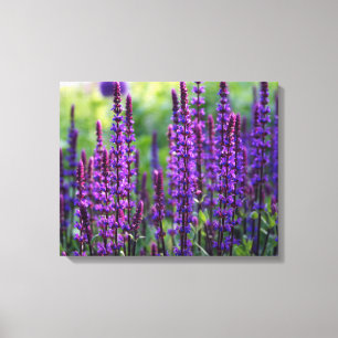 Lila fotokanfas för lavendel canvastryck