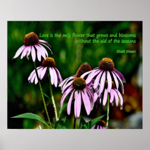 Lila-fotot med Khalil Gibran-citat Poster
