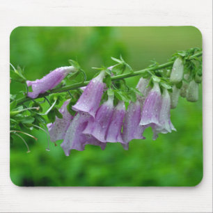 Lila foxghandblommor musmatta