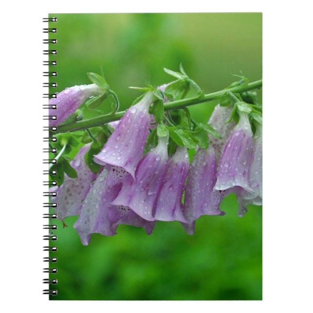 Lila foxglove-blommor anteckningsbok (Framsidan)