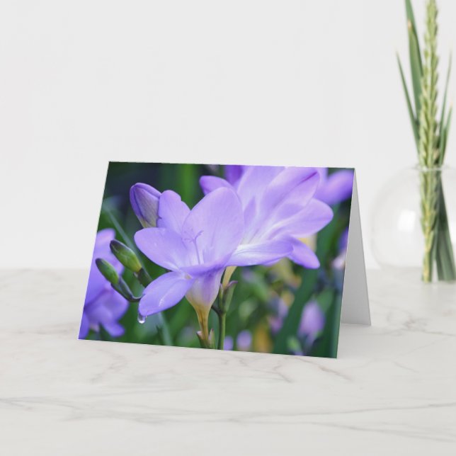 Lila Freesia and Dew Drop Art Note Card Kort (Framsida)