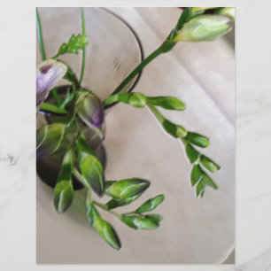 lila freesia buds