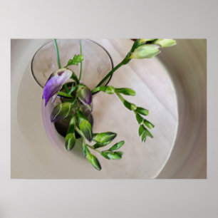 lila freesia buds poster