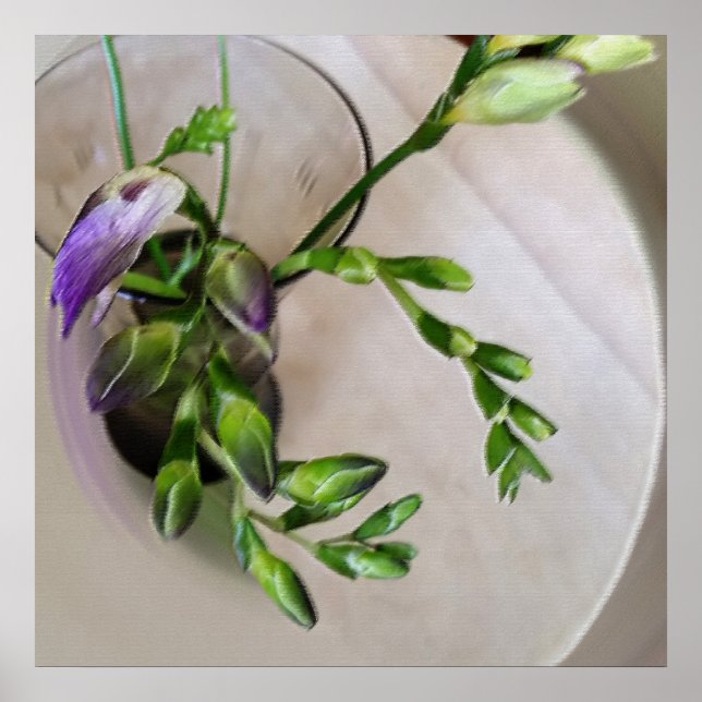 lila freesia buds poster (Framsidan)