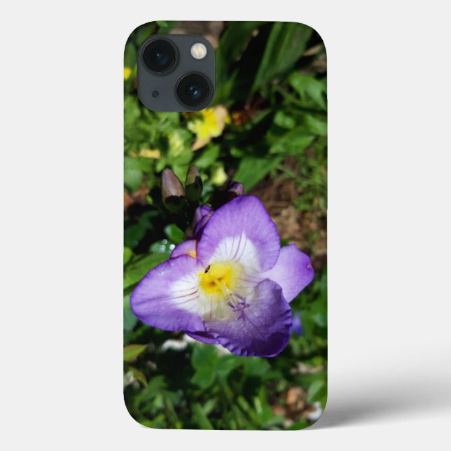 Lila Freesia Flowers (Baksida)