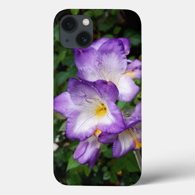 Lila Freesia Flowers (Baksida)