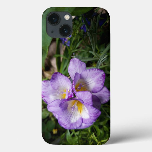 Lila Freesia Flowers (Baksida)