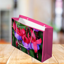 Lila Fuchsia med Rosa Sepals Blommigt
