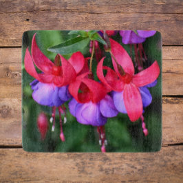 Lila Fuchsia med Rosa Sepals Blommigt