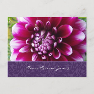 Lila Fuschia Dahlia Spara datum Meddelande Vykort