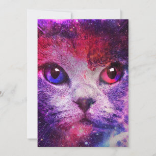 Lila Galax Katt  Inbjudningar