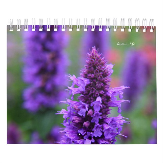 Lila Garden Flowers Kalender (Omslag)