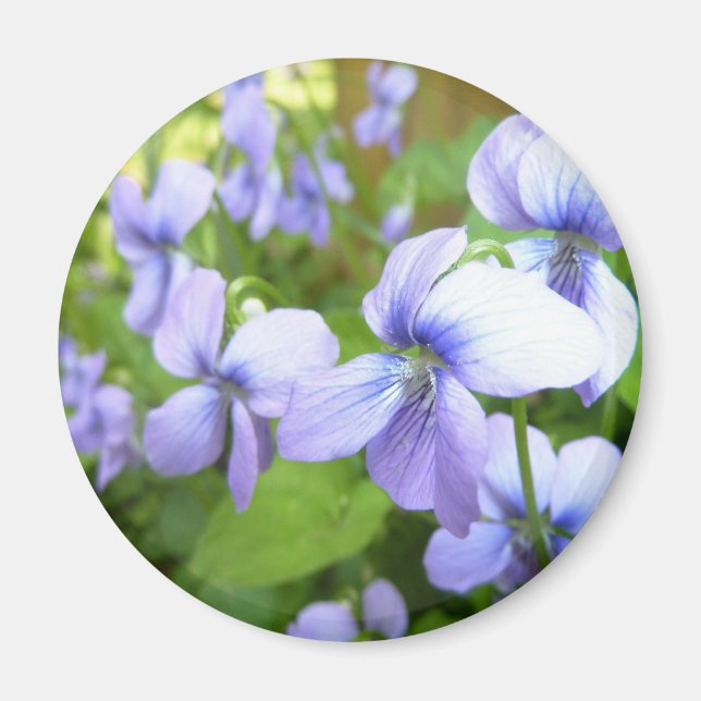 Lila Garden Flowers Magnet (Framsidan)