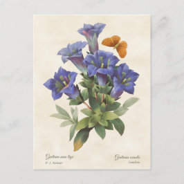 Lila Gentian Vintage Botanisk Illustration Vykort