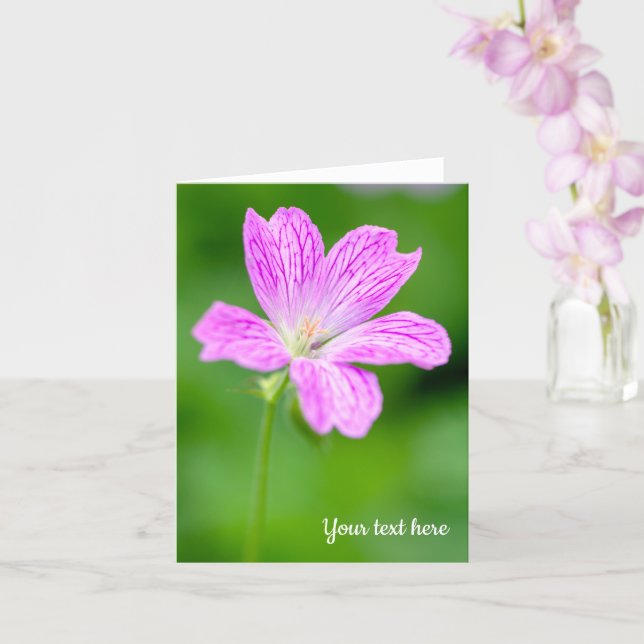 Lila Geranium Greeting Card Kort (Orkide)