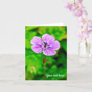 Lila Geranium Greeting Card Kort