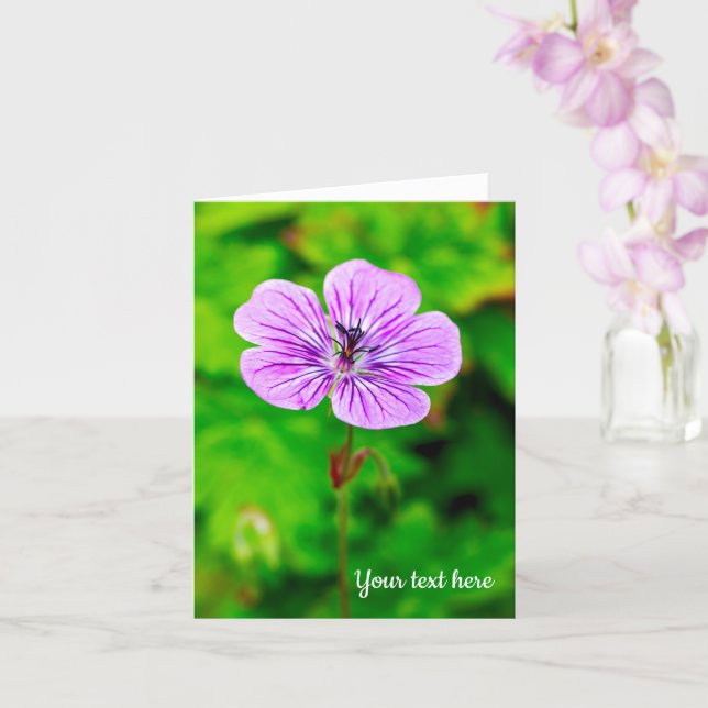 Lila Geranium Greeting Card Kort (Orkide)
