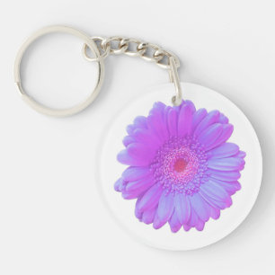 Lila gerbera daisy