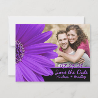 Lila Gerbera Daisy Flower Photo Bröllop Spara Datumet