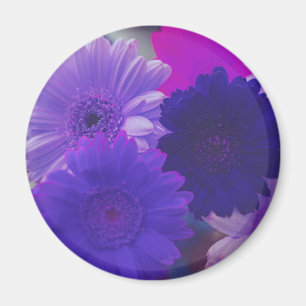 Lila Gerbera Daisy Flower Refrigerator Magnet