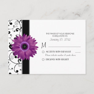 Lila Gerbera Daisy med Black Rulla Design OSA Kort