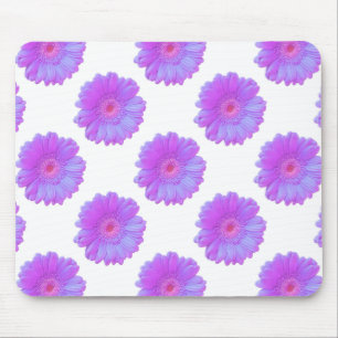 Lila gerbera daisy musmatta