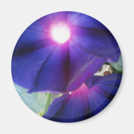 Lila God morgon Glory Flower Magnet