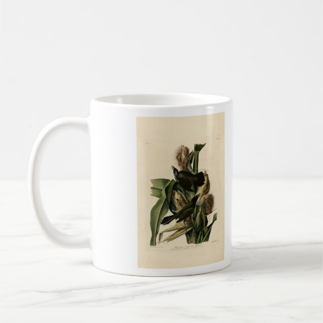 Lila Grakle (Grackle) Audubon's Birds of America Kaffemugg (Vänster)