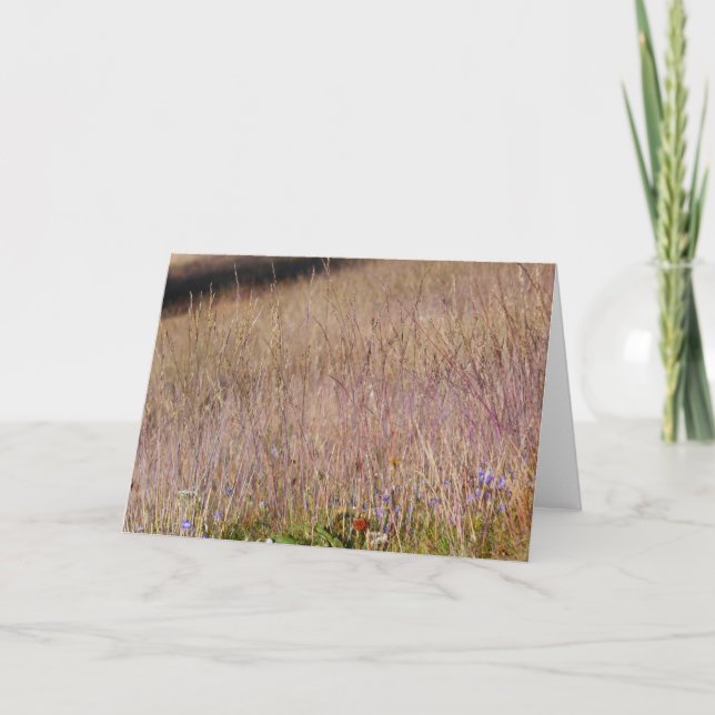 Lila gräs och vilda blommor kort (Framsida)