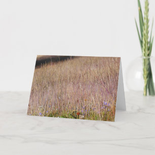 Lila Grass och Wildblommor Kort